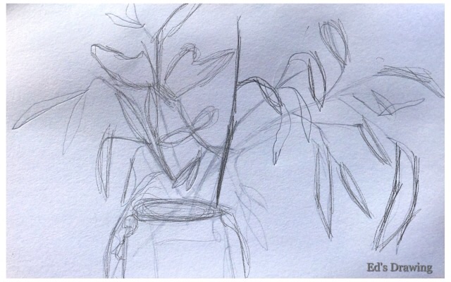 Ed's drawing3