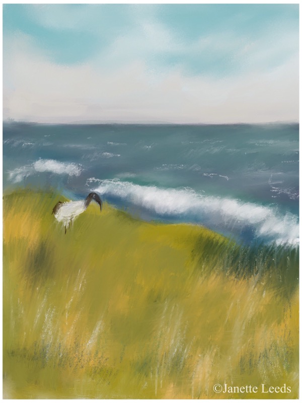 Seascape with bird painting