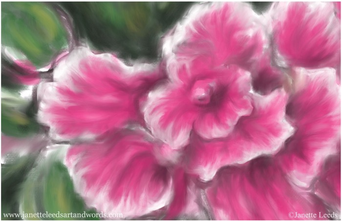 Pink flower painting