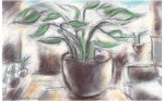 Drawing of a pot plant