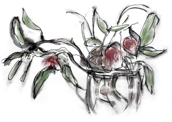 Gumleaves “Hakea” in a vase