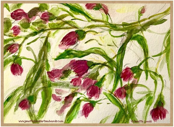 Gumleaves and Flowers