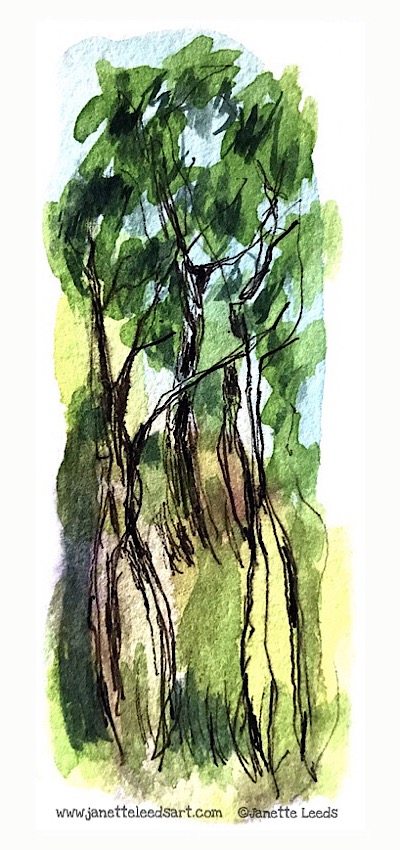 Ink pen and watercolour trees