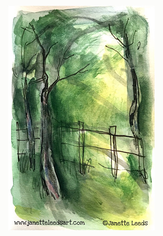 Watercolour and inkpen