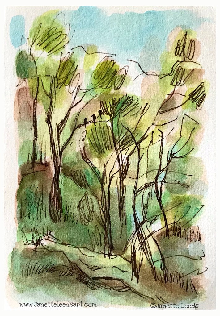 Watercolour and inkpen