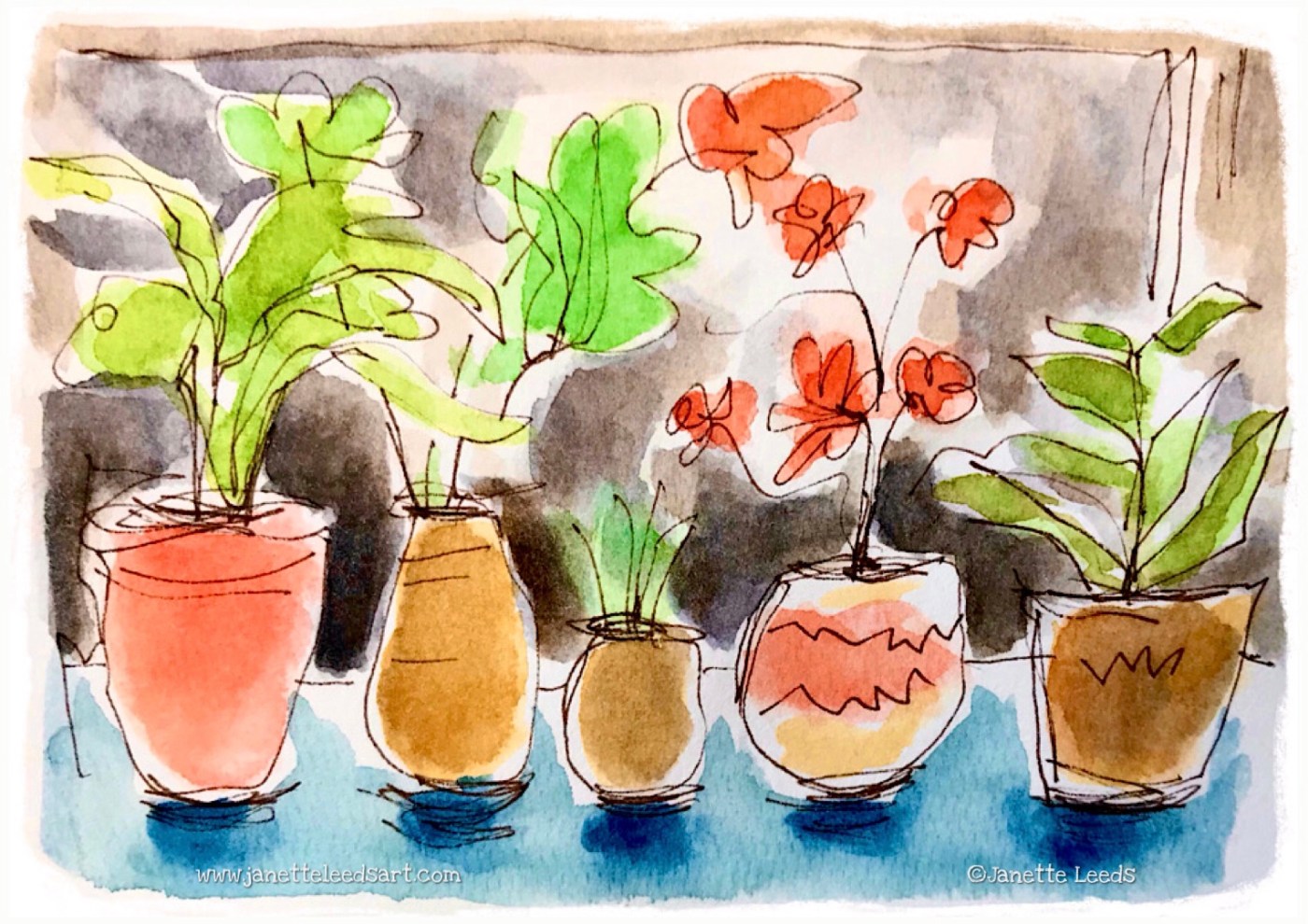 Plants in pots